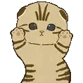 cat_dance