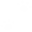 1_paw