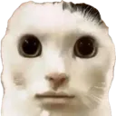 __