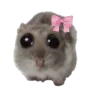 hampterPls