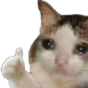 sadcattothumbsup sadcattothumbsup