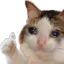 d_hcatsad