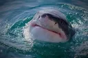 cometrythewater