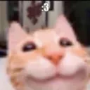 ts_happycat