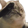 Salutecat