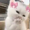 hehe