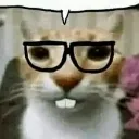 GatoNerd GatoNerd