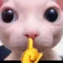 Shiu