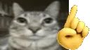 nuhoh