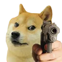 doge_gun