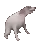 dogdance