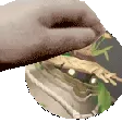 einarpet