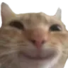 happycat
