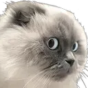 KotSideeyes