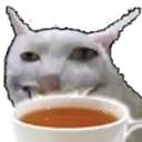 Cursed_tea