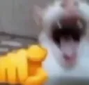 BAAAAAAAAAAAAAAAAAAAAAAAAHAHAHAA
