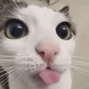 catblep