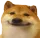 dogewelp dogewelp