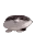 wawacat