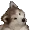 856931668802535454