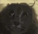 tuh