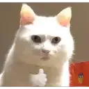 281