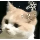161