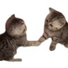 MyMan Discord emoji