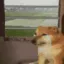 metro_bye