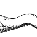 Brush2