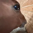 sideeye2