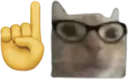catnerd
