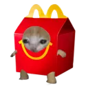 mccat