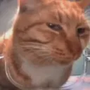 catsmirk