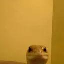 __ __