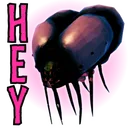 heygjall heygjall