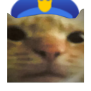 catpolice