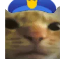 :catpolice: