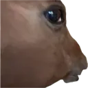 HUH