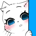 1_