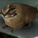 falopa