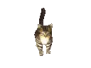 emoji_63