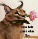flopaflor Discord emoji