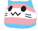 spinnytrans