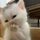 hehe