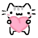 6_cat_heart_cute_love