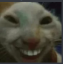 CZ_cat Discord emoji