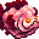 fleshfish