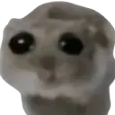 sad_hamster