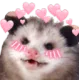 loveypossum